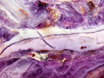 Similar image 1134605