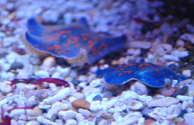 Similar image 1134619