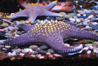 Similar image 1134622