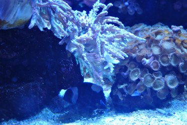 Similar image 1134624