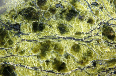 Similar image 1134644