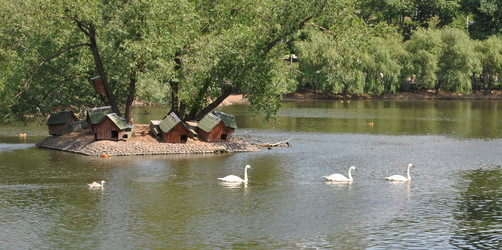 Similar image 1134666