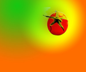 Similar image 1134841