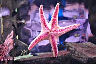 Similar image 1134878