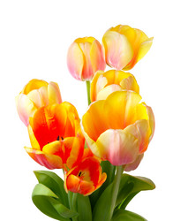 Similar image 1134880