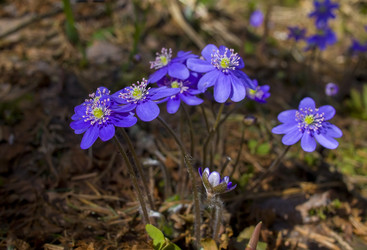 Similar image 1134918