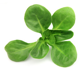 Similar image 1134937