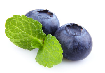 Similar image 1134939