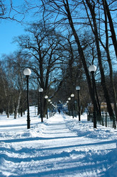 Similar image 1134944