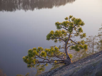 Similar image 1134993