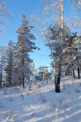 Similar image 1134995