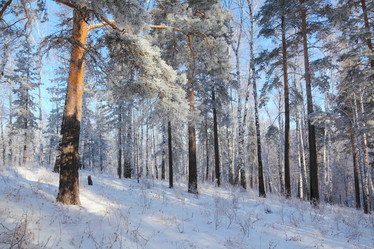 Similar image 1134996