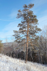 Similar image 1134999