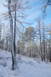 Similar image 1135000