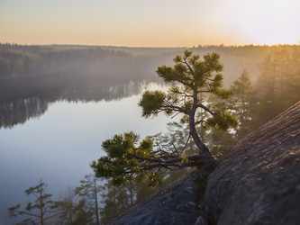 Similar image 1135014