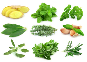 Similar image 1135020