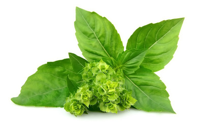 Similar image 1135040