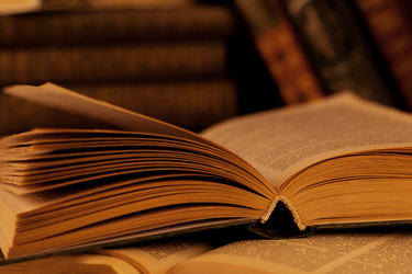 Similar image 1135134