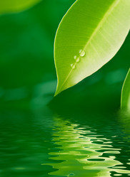 Similar image 1135174