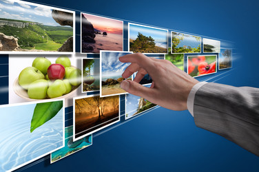 Similar image 1135175