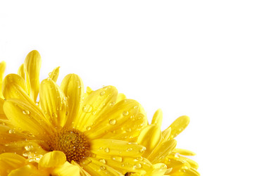 Similar image 1135181