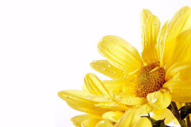 Similar image 1135182