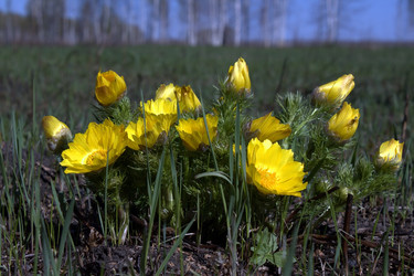 Similar image 1135272