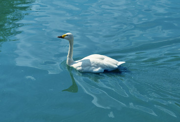 Similar image 1135283