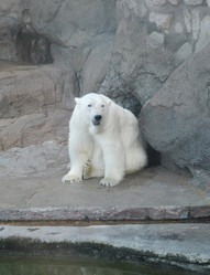 Similar image 1135284