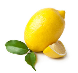 Similar image 1135382