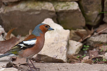 Similar image 1135391