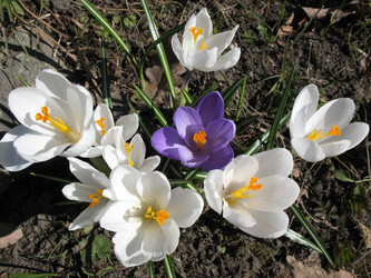 Similar image 1135492