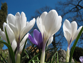 Similar image 1135494