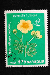 Similar image 1135620