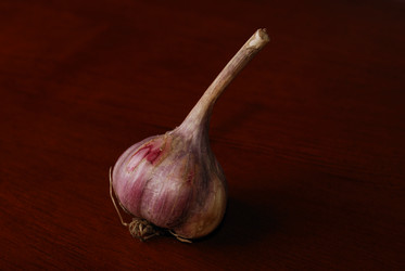 Similar image 1135621