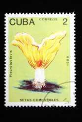 Similar image 1135624