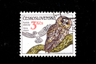 Similar image 1135625