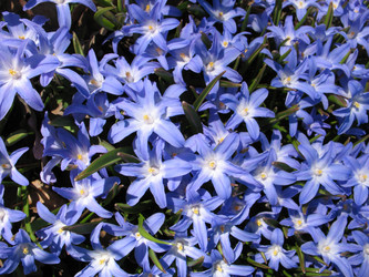 Similar image 1135626