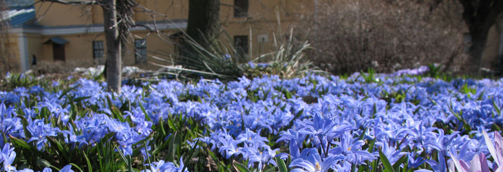 Similar image 1135628