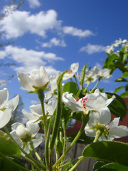 Similar image 1135631