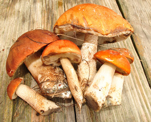 Similar image 1135633