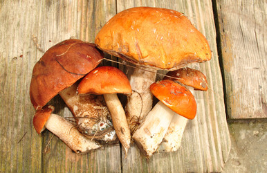 Similar image 1135634