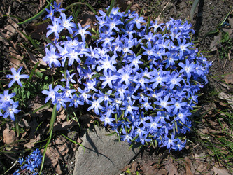 Similar image 1135636