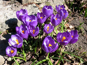 Similar image 1135637