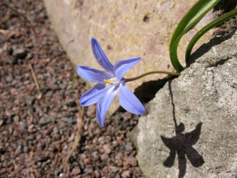 Similar image 1135641