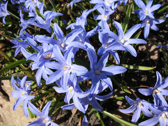 Similar image 1135642