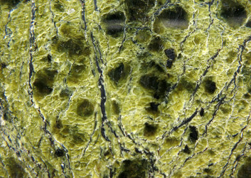 Similar image 1135643