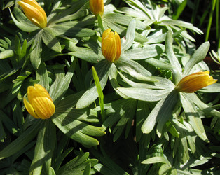 Similar image 1135647