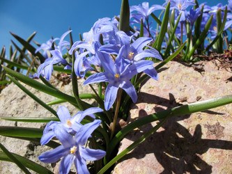 Similar image 1135650