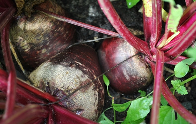 Similar image 1135700